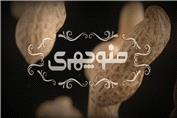 خرید بادام زمینی با پوست از آجیل منوچهری/ قیمت بادام زمینی با پوست آستانه