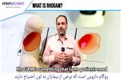 آمپول روگام چیست؟ در چه مواردی باید تزریق شود؟