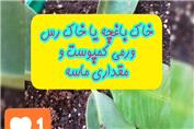 مشاوره و نگهداری فیکوس توقف رشد کوددهی خاک سمی لیراتا جنگلی شرابی ابلق بیماری قارچی آفت کش سم ریشه افتادگی برگ لکه و سیاه شدن