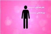 تغذیه سالم