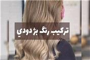 آموزش ترکیب رنگ بژ دودی خیلی شیک