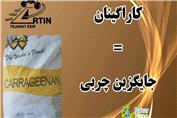 کارگینان چیست