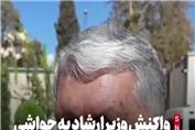 واکنش وزیر ارشاد به دستگیری پژمان جمشیدی