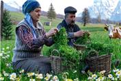 آشپزی در طبیعت آذربایجان :: پخت نان سبزیجات