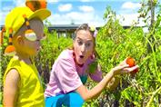 ولاد و نیکی جدید - کریس و مامان نحوه برداشت توت فرنگی و سبزیجات را یاد میگیرند