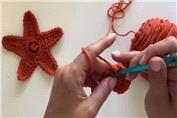 Crochet Starfish Appliqué