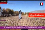 کاشت زعفران در افغانستان شرکت زعفران کینگ بیزینس