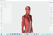 آموزش کامل آناتومی ارگانهای بدن انسان با نرم افزار سه بعدی 3D Organon Anatomy