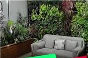 مشاوره ،طراحی ، تامین و اجرای انواع دیوار سبز طبیعی