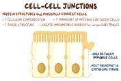 فیزیولوژی سلولی اسموزیس بخش پنجم(اتصالات بین سلولی)