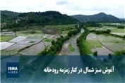 آغوش سبزِ شمال در کنار زمزمه رودخانه