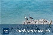 وضعیت جزایر و حیات‌وحش دریاچه ارومیه